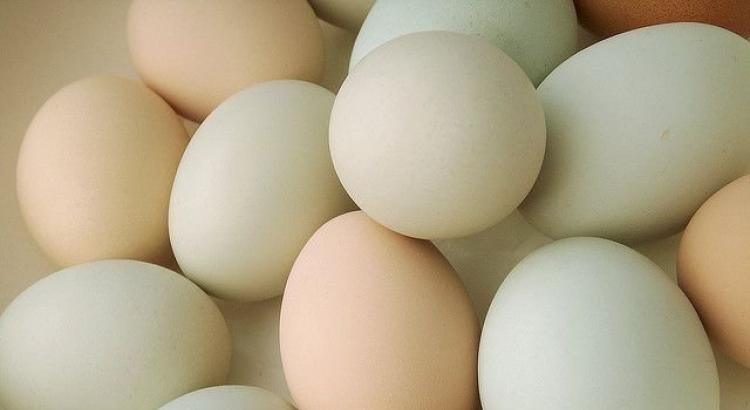 Тонкая скорлупа у куриных яиц: что делать